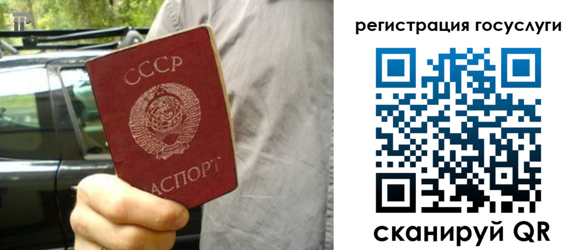 прописка законно в Сальске